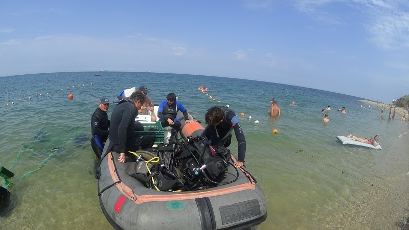 группа аквалангистов